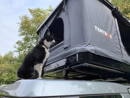 TentBox Classic makes the perfect child-friendly base